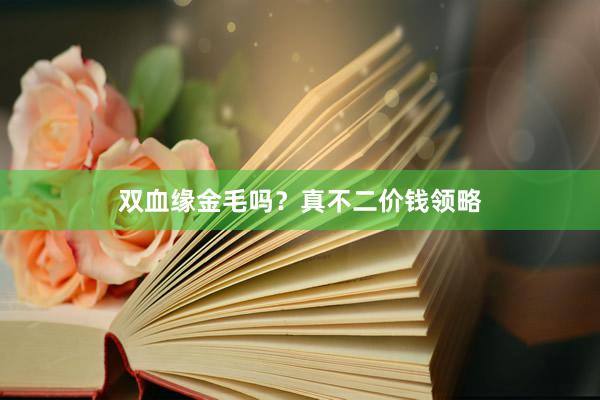 双血缘金毛吗?真不二价钱领略